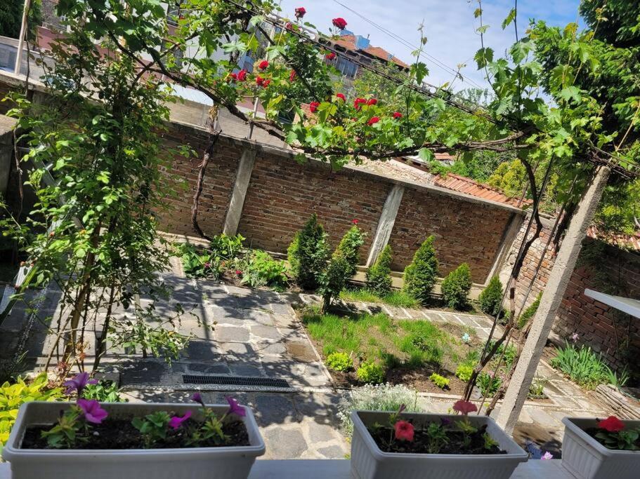 Center 2 Bdrm Apartment, 5min From Square & Garden, Free Parking Plovdiv